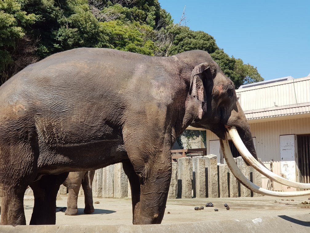 🦁 요코하마 시립 가나자와 동물원 이미지 6